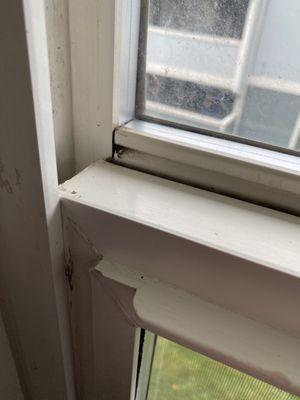 Window seal