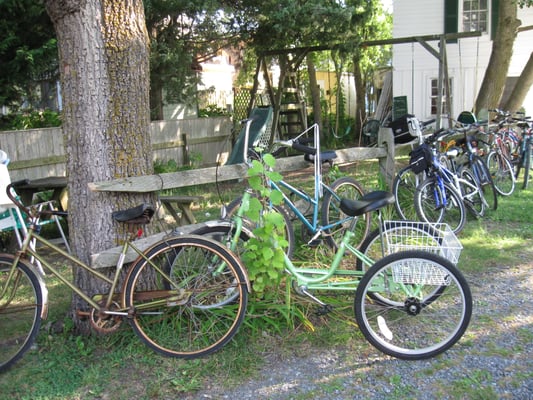 Village Bike Shop even rents adult trikes!