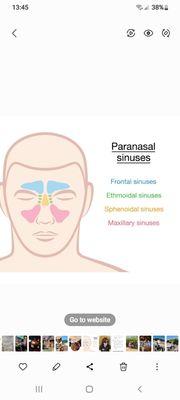 Sinus Therapy