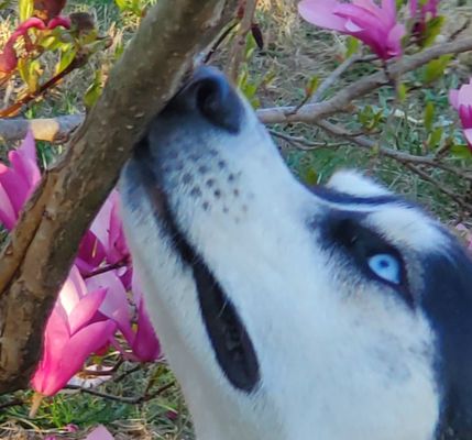 Take time to smell the flowers.