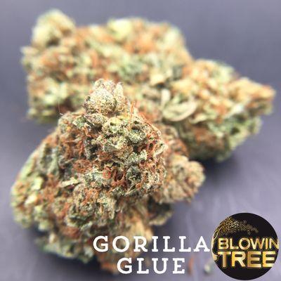 Gorilla Glue, affordable and fly! This strain never disappoints, smooth to smoke with a wood-flimsy taste.