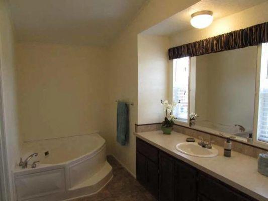 a bathroom with a tub sink and mirror