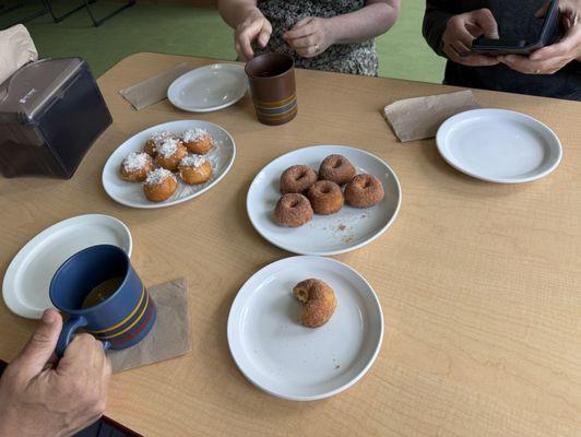 Rather impressive that I got this picture before we ate 'em all. A dozen mini donuts in two flavors.