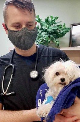 Vet and Maltese in prep for euthanize.