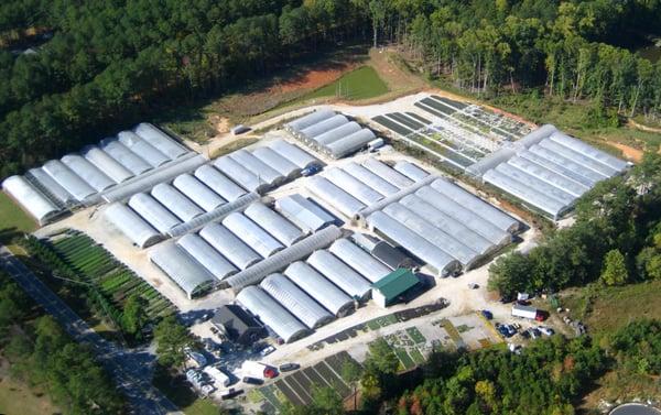 Photo from up above the Mobley Plant Farm.