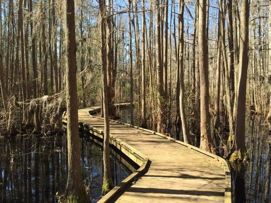 Boardwalk