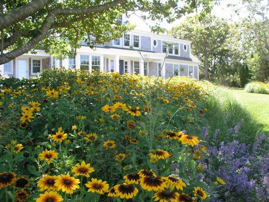 Perennial garden