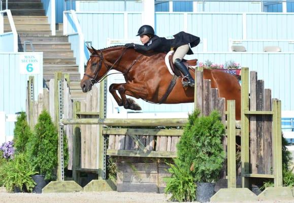 A horse and rider showing with Reflecting Heaven Stables