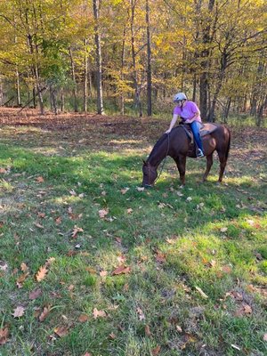 Natural Horseman Matthew Brown