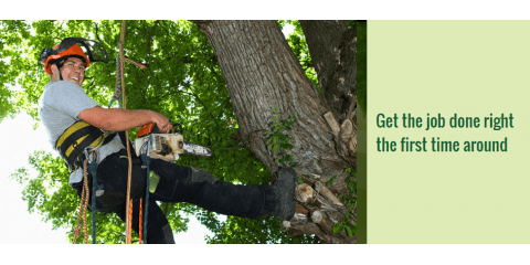 Panske Trim-A-Tree Service