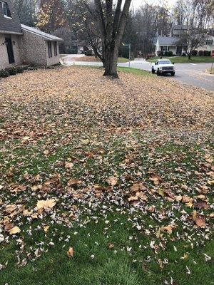 Fall cleanup