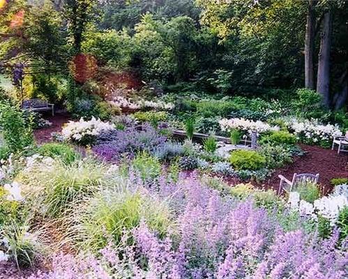 Blue and White garden; flowering shrubs, perennials, and annuals; Display Garden, Seekonk, Massachusetts.