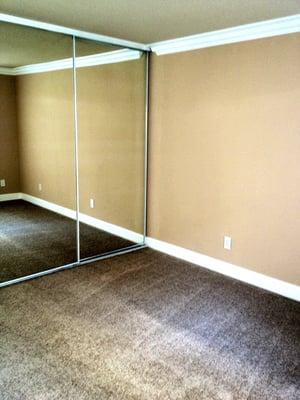 Master bedroom closet,  the carpet doesn't feel that dark when you actually live here.