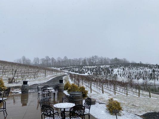 Outdoor seating overlooking the vineyards