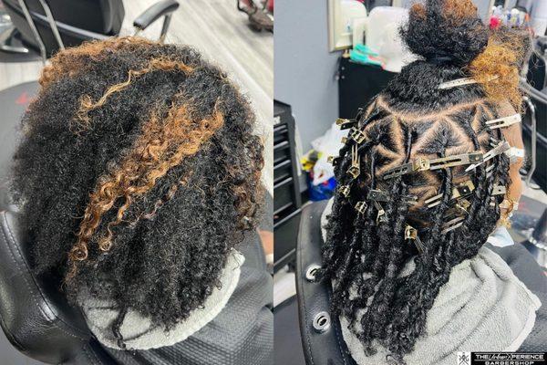 Hair- Starter locs