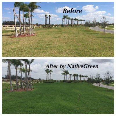 NativeGreen Pest Control & Fertilization