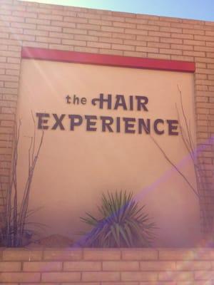 Hair Experience