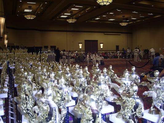 Trophies waiting for UWTA Champions, Reno, NV