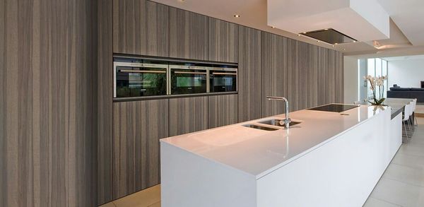 Modern Wood Veneer Kitchen