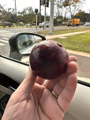 I think this is star apple?