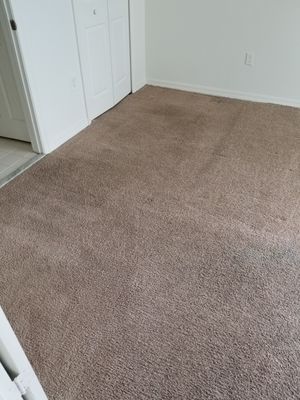 Dr Steemer Carpet Cleaning