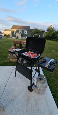 Grilling in the back