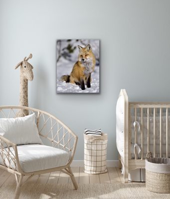 This red fox is so great in this child's room and they won't outgrow it!  A wonderful piece to follow them throughout their life!