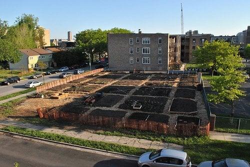 62nd & Dorchester Community Garden