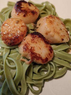 Seared Scallops and fresh made spinach fettuccine