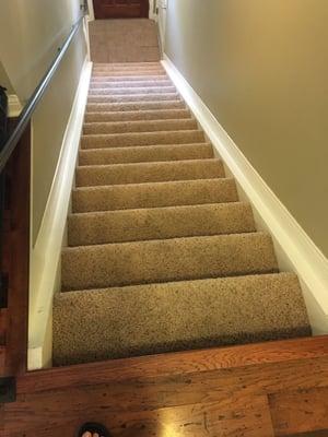 Great job on the stairs , has a lot of dog hair and dog stains . Now very clean and smells great