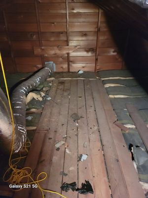 Attic cleanout Massapequa NY