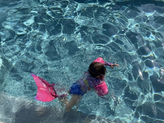 A mermaid found in our pool!!!!