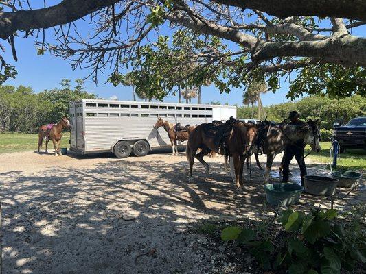 Ride the Beach Fort Pierce