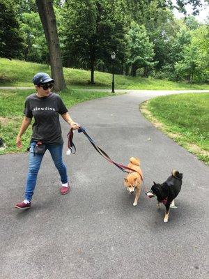 Walking with Misty and River in Highland Park.