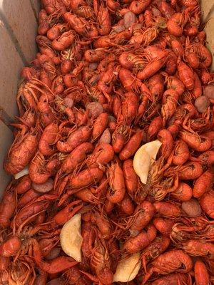 Delicious crawfish!