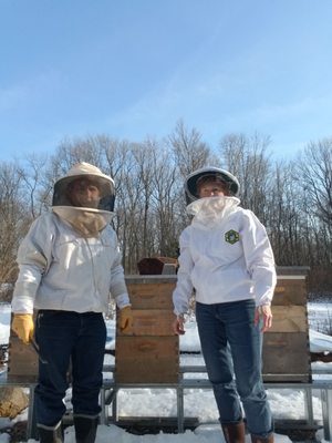 Checking our bees quickly during the winter