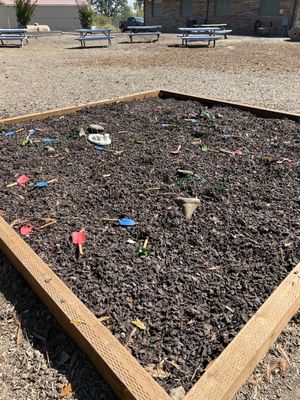 Fossil Dig site