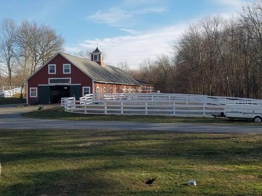 Liberty Tree Farm