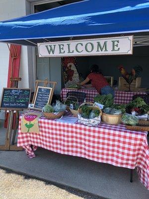 Lots of produce by Great Fun and Windy Hill farms