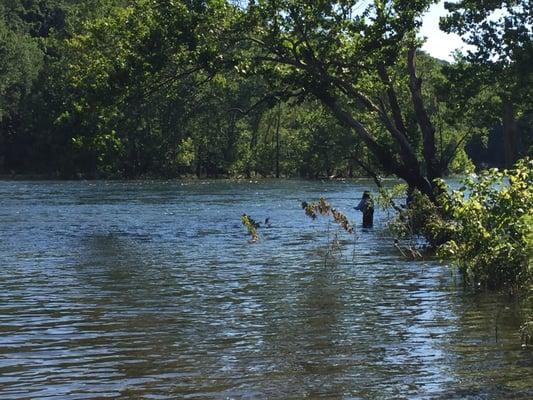 This beautiful river runs through this lovely resort where you can fly fish to your hearts content!