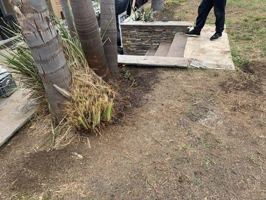 Dried out plants he was supposed to remove left behind, ground is not level