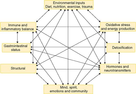 What is Functional Medicine? A health care model that considers all factors which influence health.