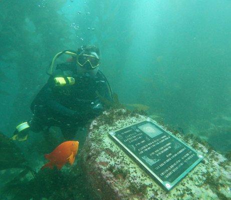 Scuba Diving after obtaining Open Water Certification from Sonoma Coast Divers