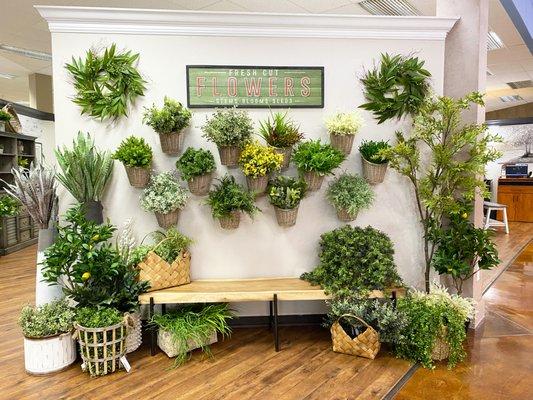 indoor plants display