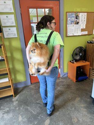 Javi hanging out with Kelley after his groom with Riley!