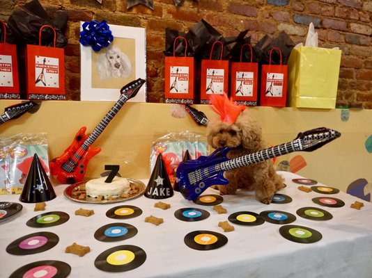 Jake's Rockstar Pawty!