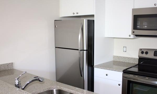 1BR Kitchen