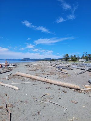 Moran Beach County Park