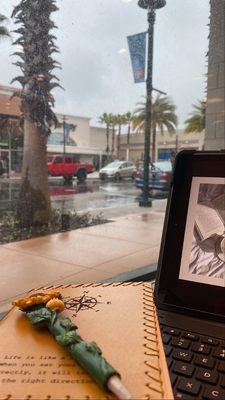 The view on a rainy day from the Starbucks cafe at Barnes and Nobles