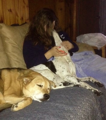 Our beloved Abby, receiving loving care and snuggles from our daughter Julia. Abby is in hospice care with terminal cancer.